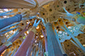 Forest of Stone — soaring stone columns and ceiling of the Sagrada Família, Barcelona