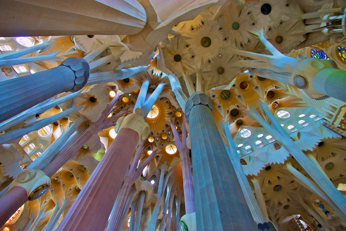 Forest of Stone — soaring stone columns and ceiling of the Sagrada Família, Barcelona